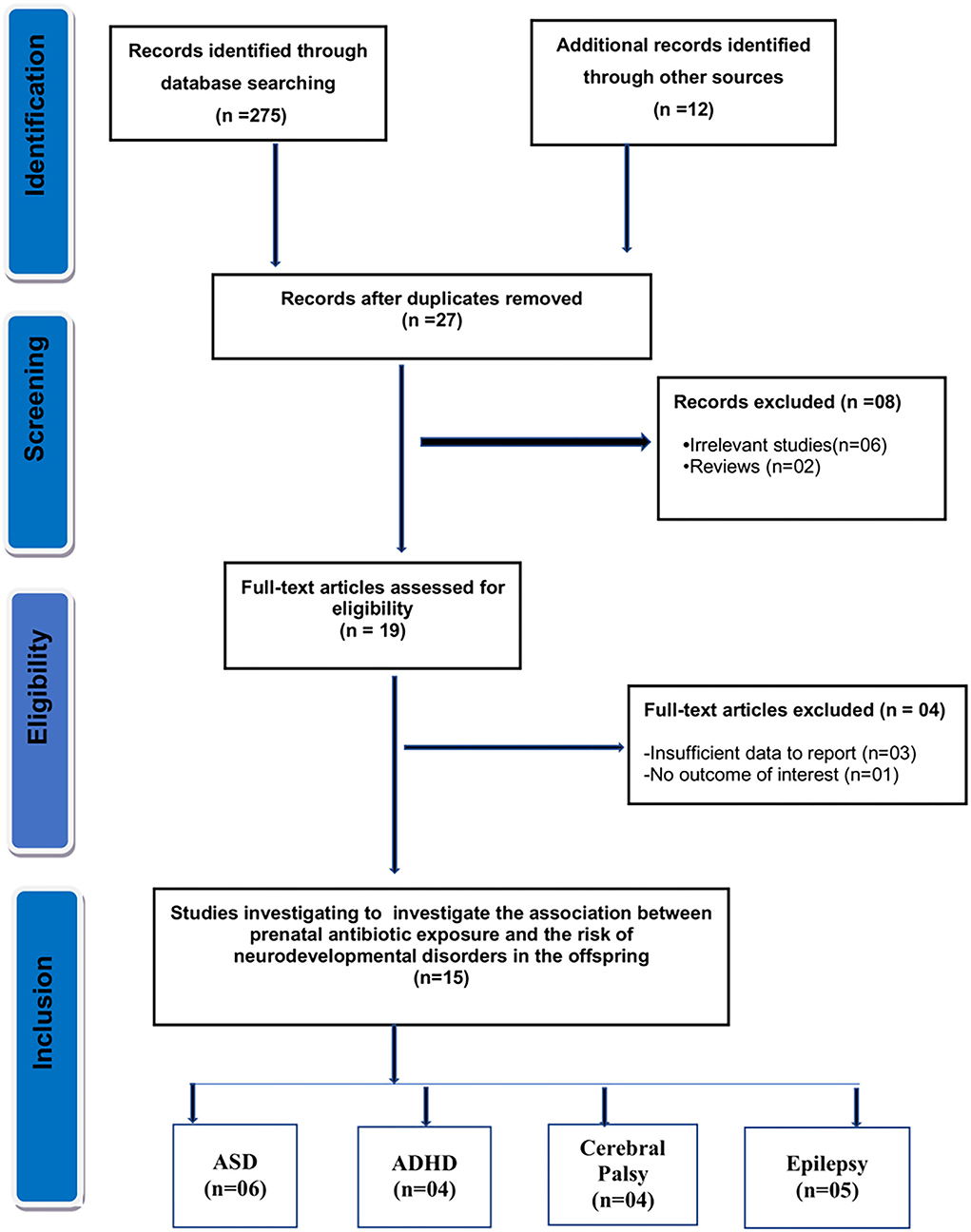 Frontiers | Prenatal exposure to antibiotics and risk of