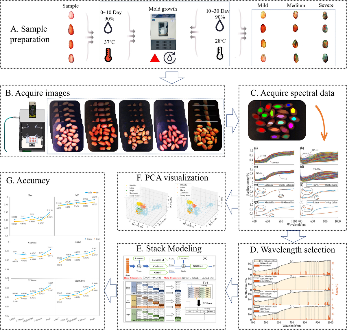 マイ The Progress and Evolving Trends in Nucleic-Acid-Based Therapies