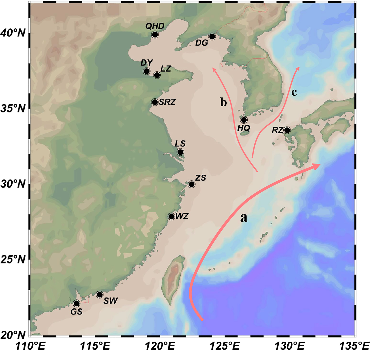 おまとめ３点 3点まとめ 3点おまとめ 3点おまとめ 専用❗3点お