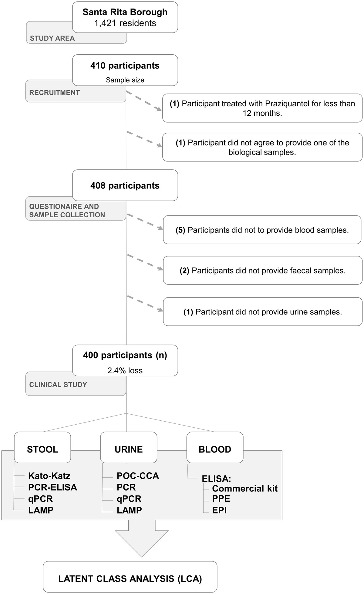 Frontiers | Assessment of the accuracy of 11 different