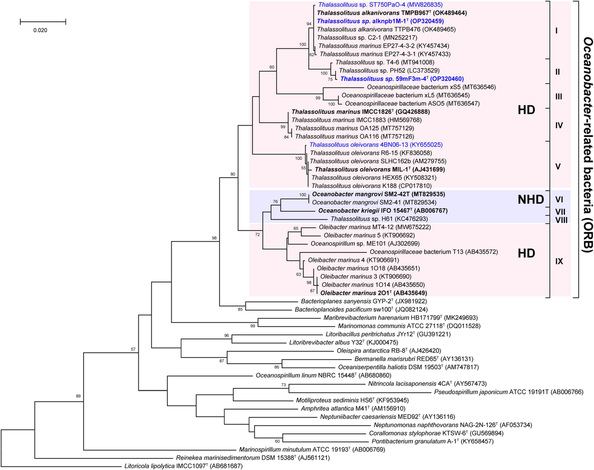 Frontiers | Genome-based taxonomic rearrangement of