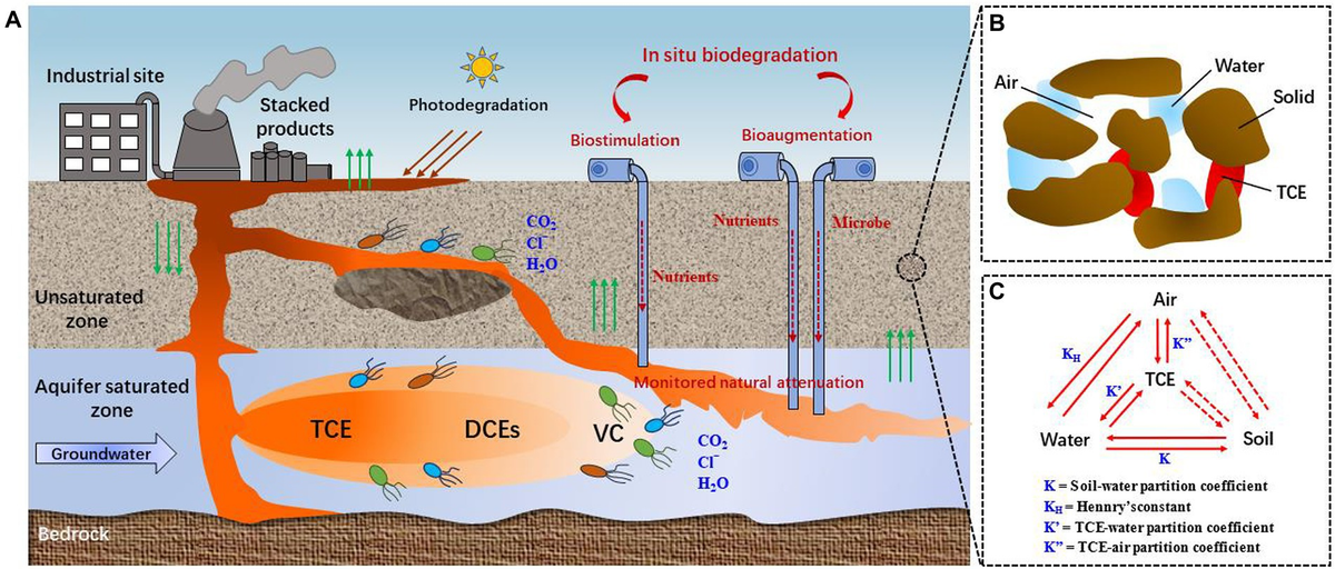 Frontiers | Recent advances and trends of trichloroethylene Frontiers | Recent advances and trends of trichloroethylene