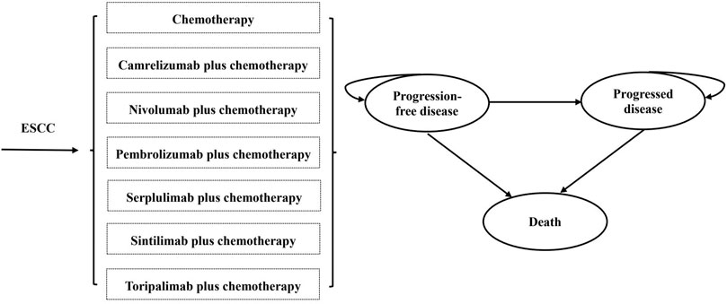 Frontiers | Cost-effectiveness analysis of PD-1 inhibitors