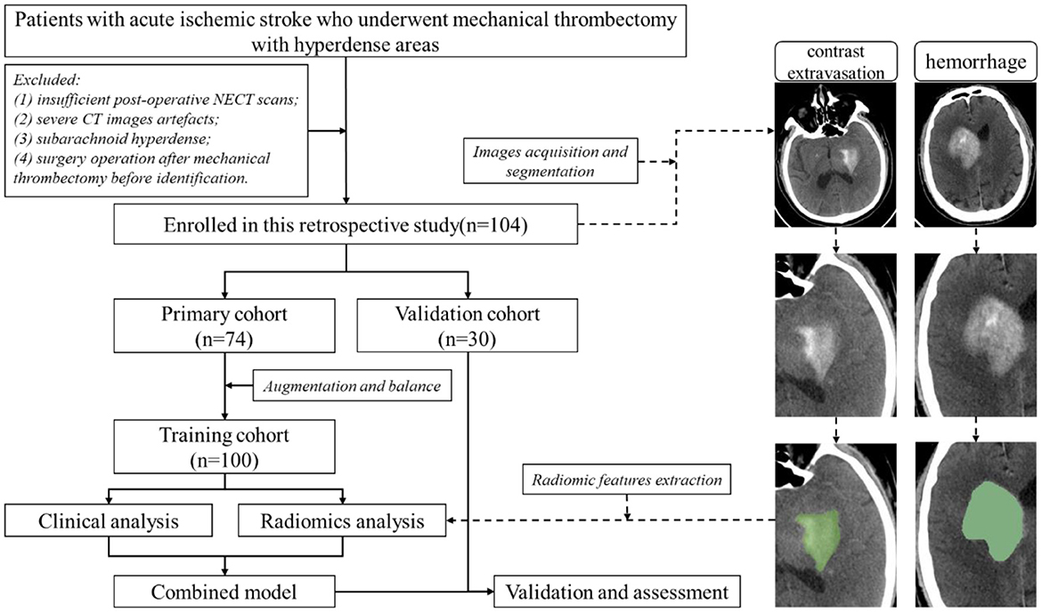 Preclinical evaluation and preliminary clinical study of