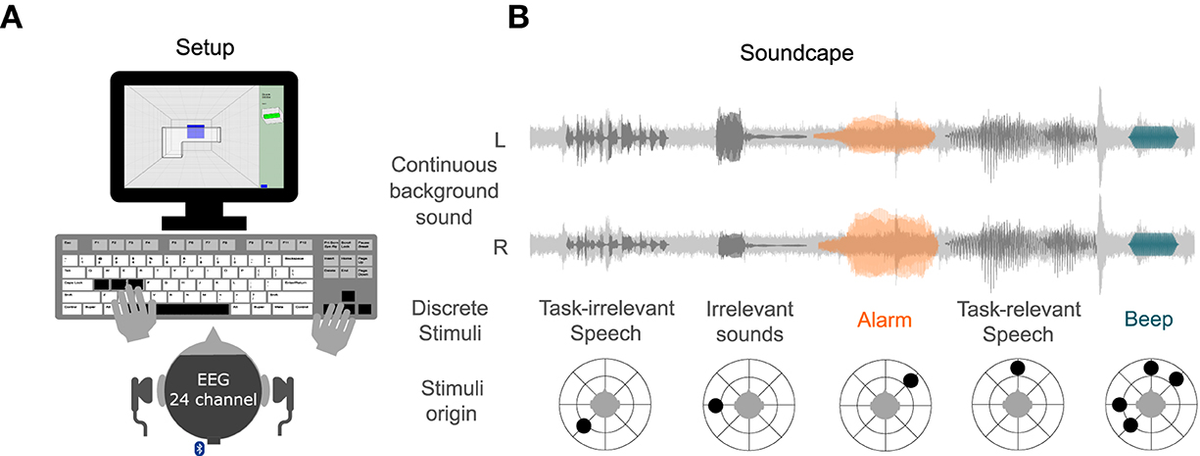 Frontiers | Investigating the attentional focus to workplace