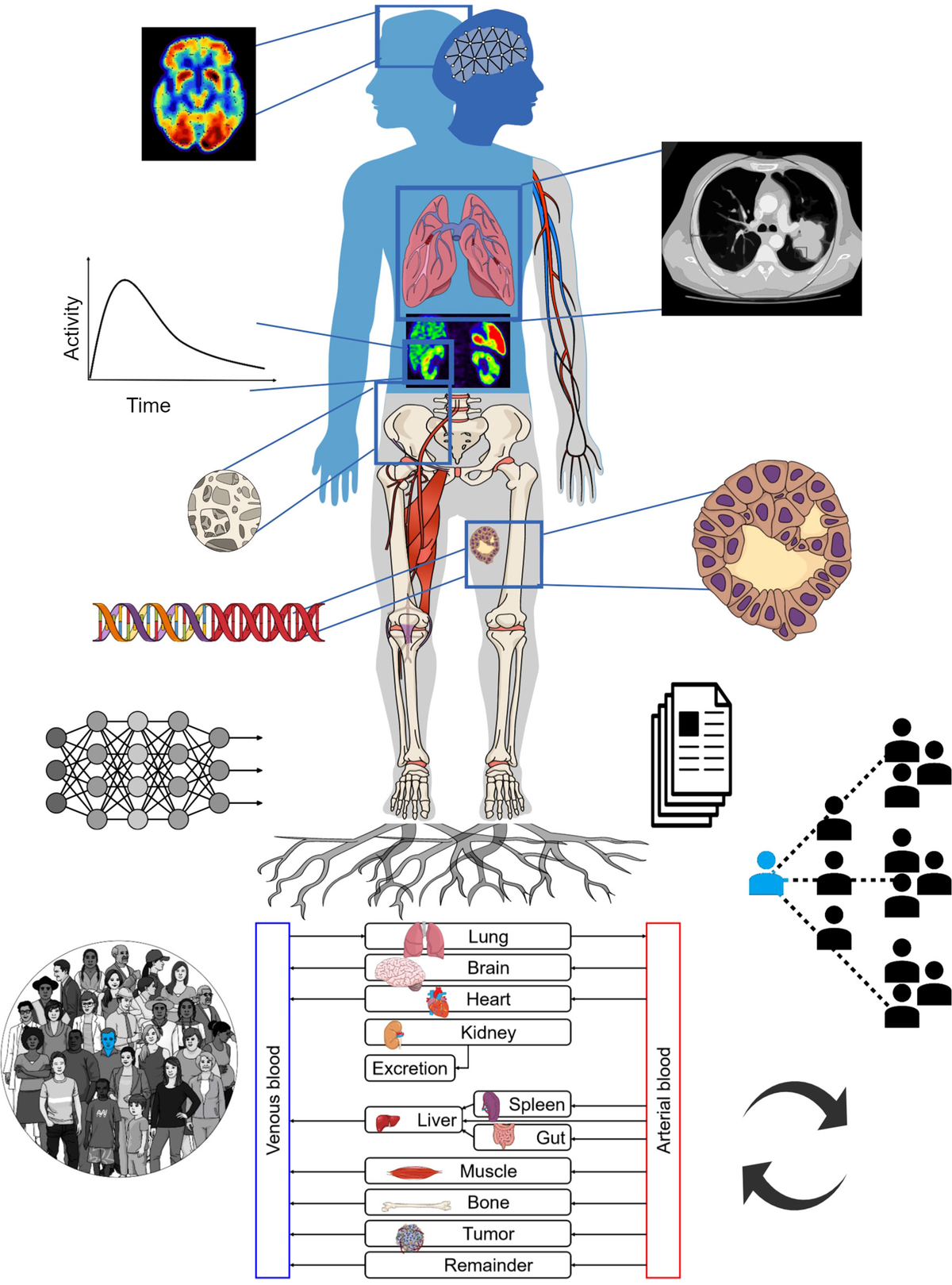Digital Twin Model Revolutionizes Prediction of Bone Metastasis Treatment Outcomes