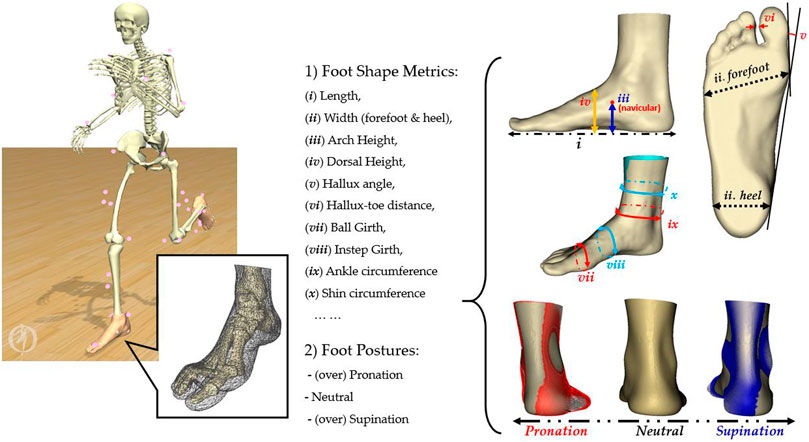 Low arch supination clearance