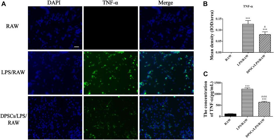 Frontiers | Application of thermosensitive-hydrogel combined Frontiers | Application of thermosensitive-hydrogel combined