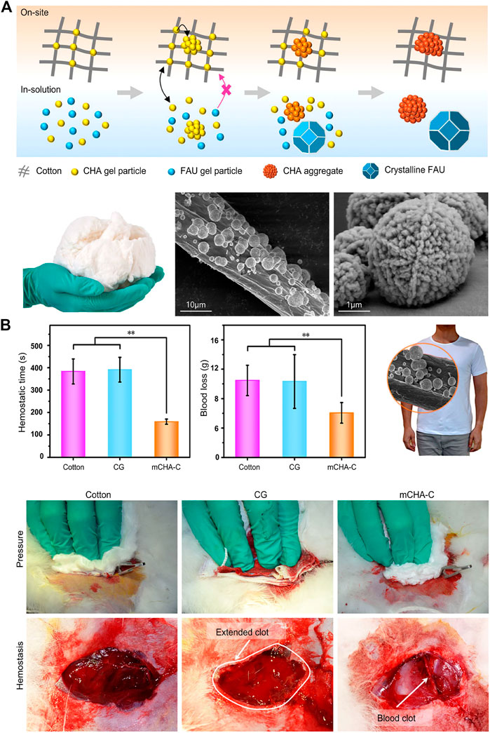 Frontiers | Advances in the development and optimization Frontiers | Advances in the development and optimization
