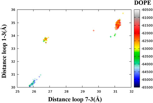 Frontiers | Structural investigation of human cystine/glutamate ...