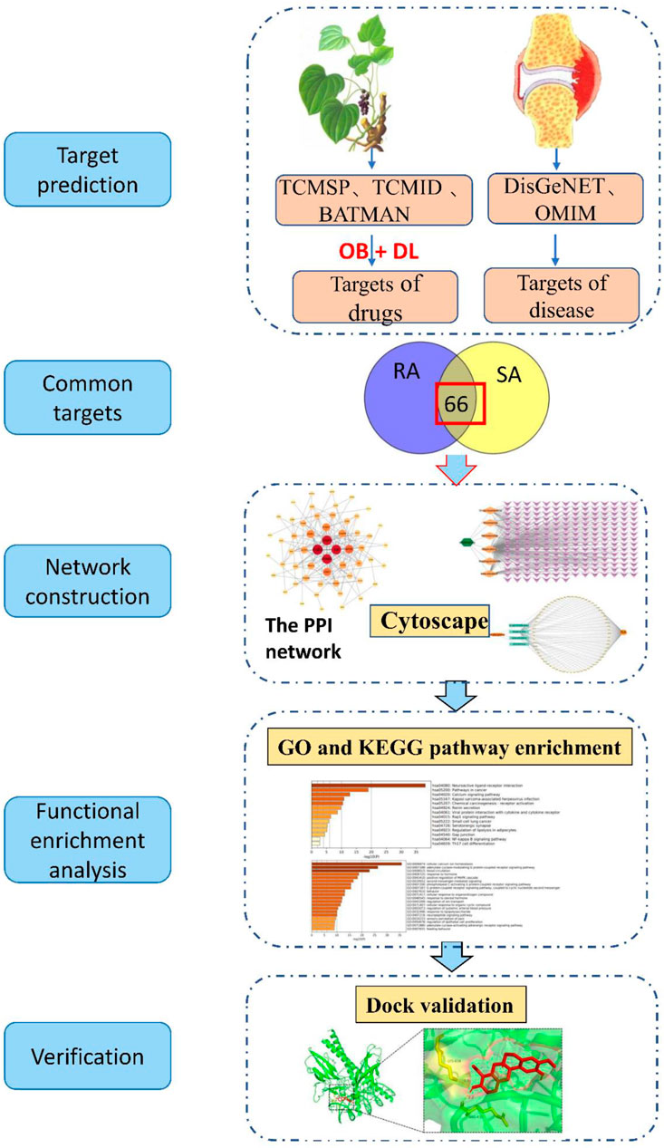 Frontiers | SARS-CoV-2 and the Missing Link of Intermediate
