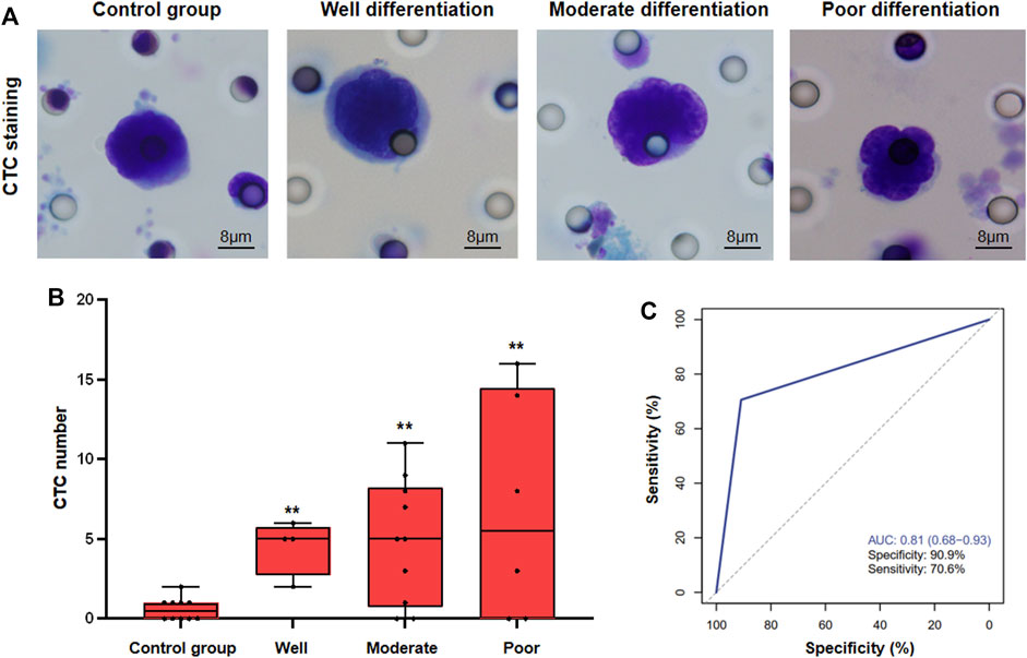 ①5-F/6-b/6-g セット Frontiers | Circulating tumour cell combined with DNA