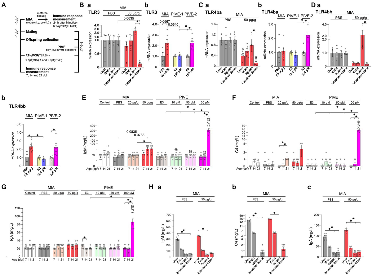 景子様 リョウ様 リクエスト 4点 まとめ商品 ryo様 リクエスト 4点