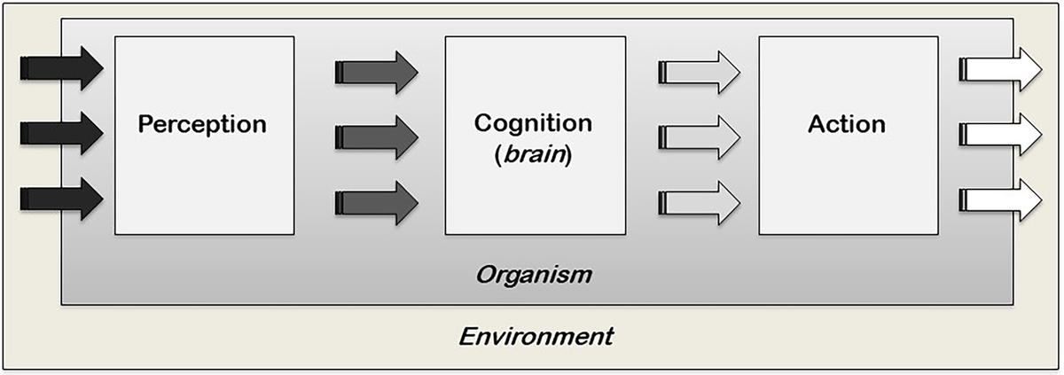 Frontiers Ariadne s thread and the extension of cognition: A common