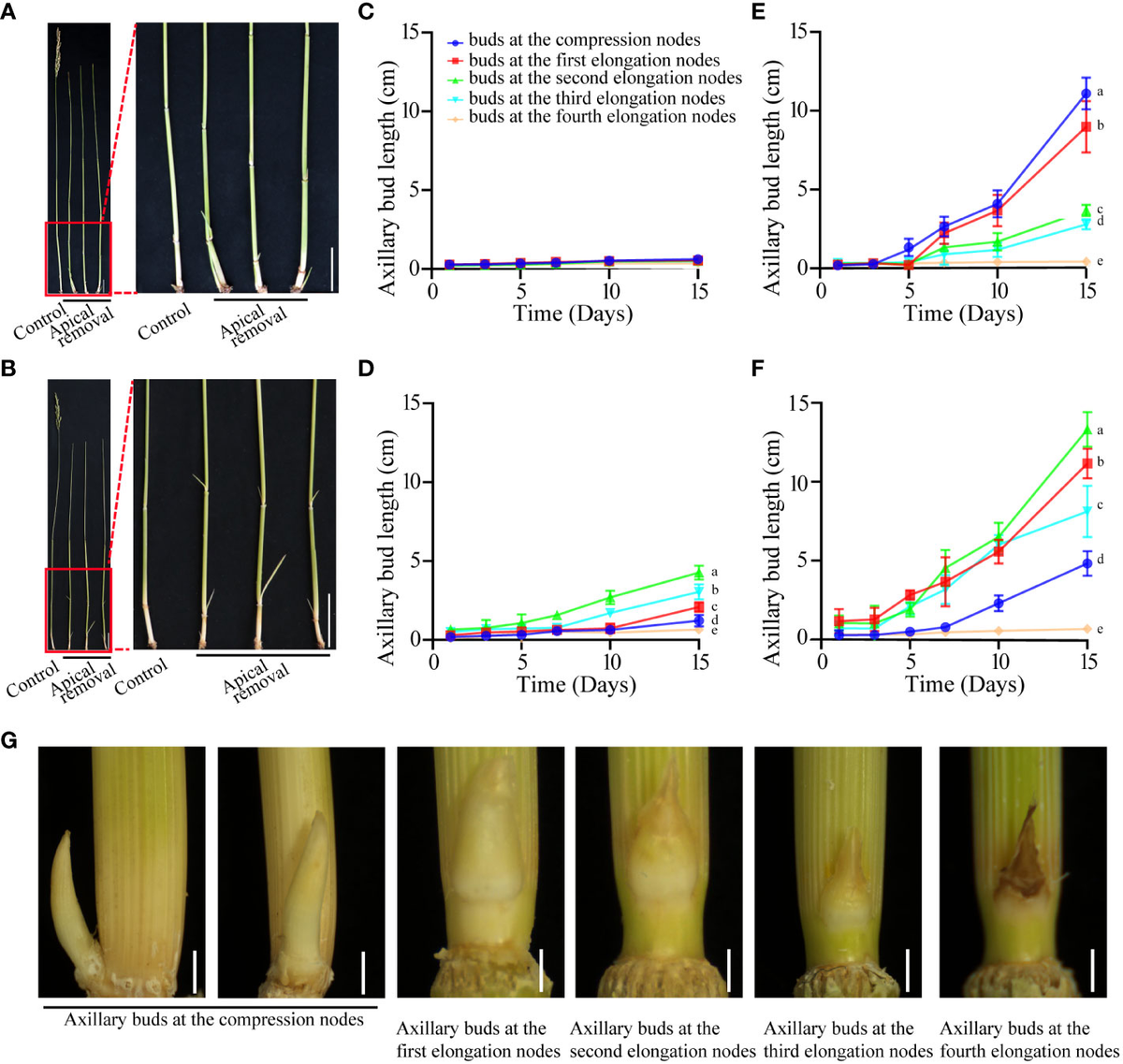Frontiers | Regeneration pattern and genome-wide