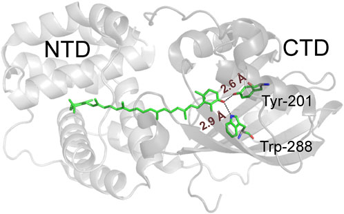 fmolb-10-1072606-g001.jpg