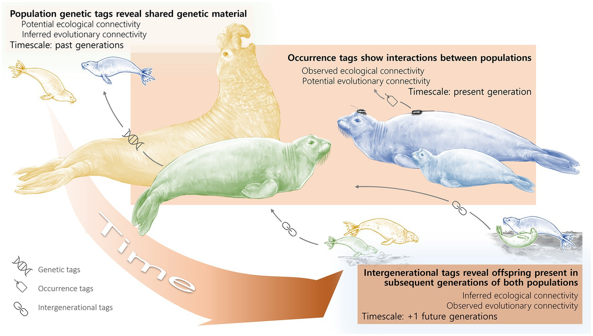 divergent | MrKubuske.com, image size:1200x680