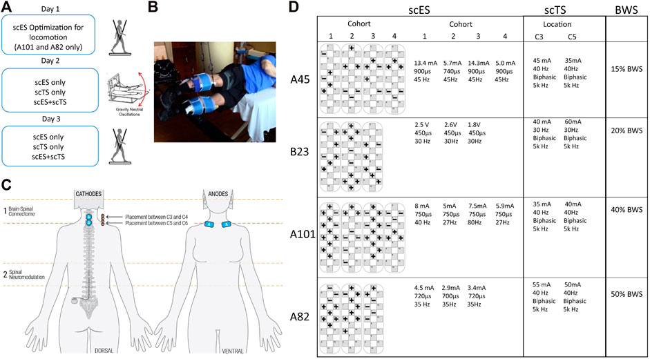 Frontiers | Combined cervical transcutaneous with
