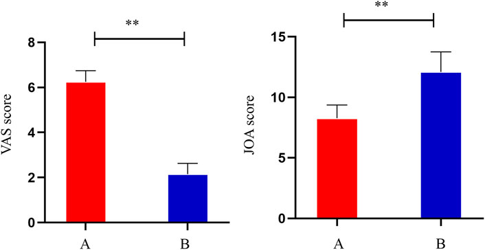 Frontiers | Modulation of the biological network of lumbar