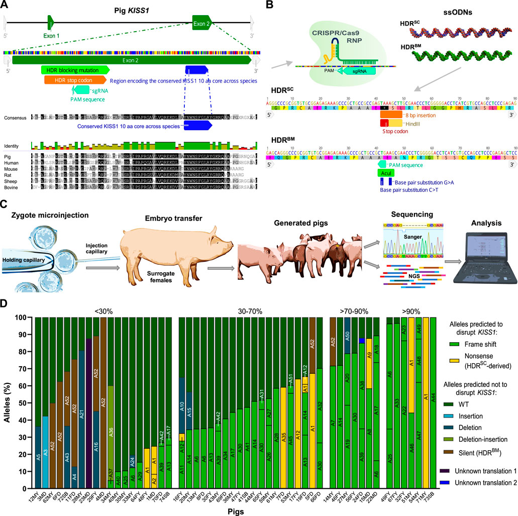 【YY】 Ninja x adidas ZX Torsion “Time In” Release Date | Nice Kicks