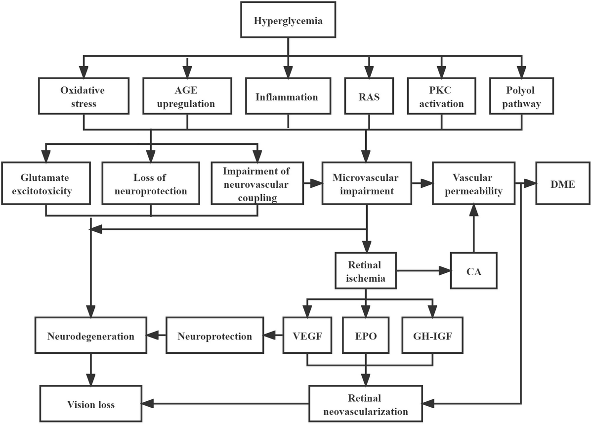 Frontiers Classification of diabetic retinopathy: Past present and
