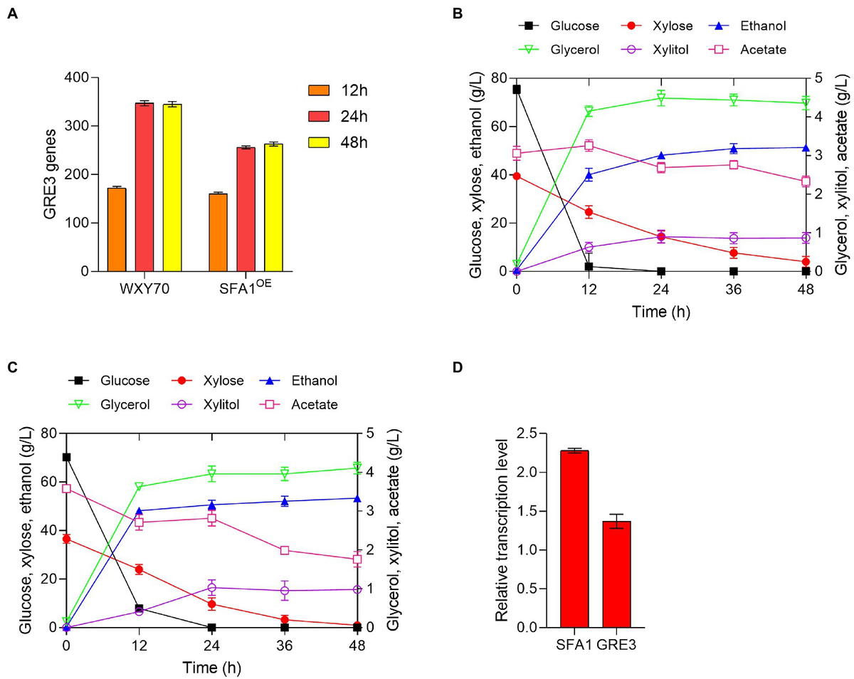 Frontiers | Overexpressing GRE3 in Saccharomyces cerevisiae