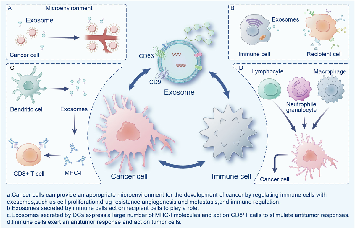 web限定アイテム Frontiers of immunotherapy for tool potential A Exosomes: | 各種パーツ