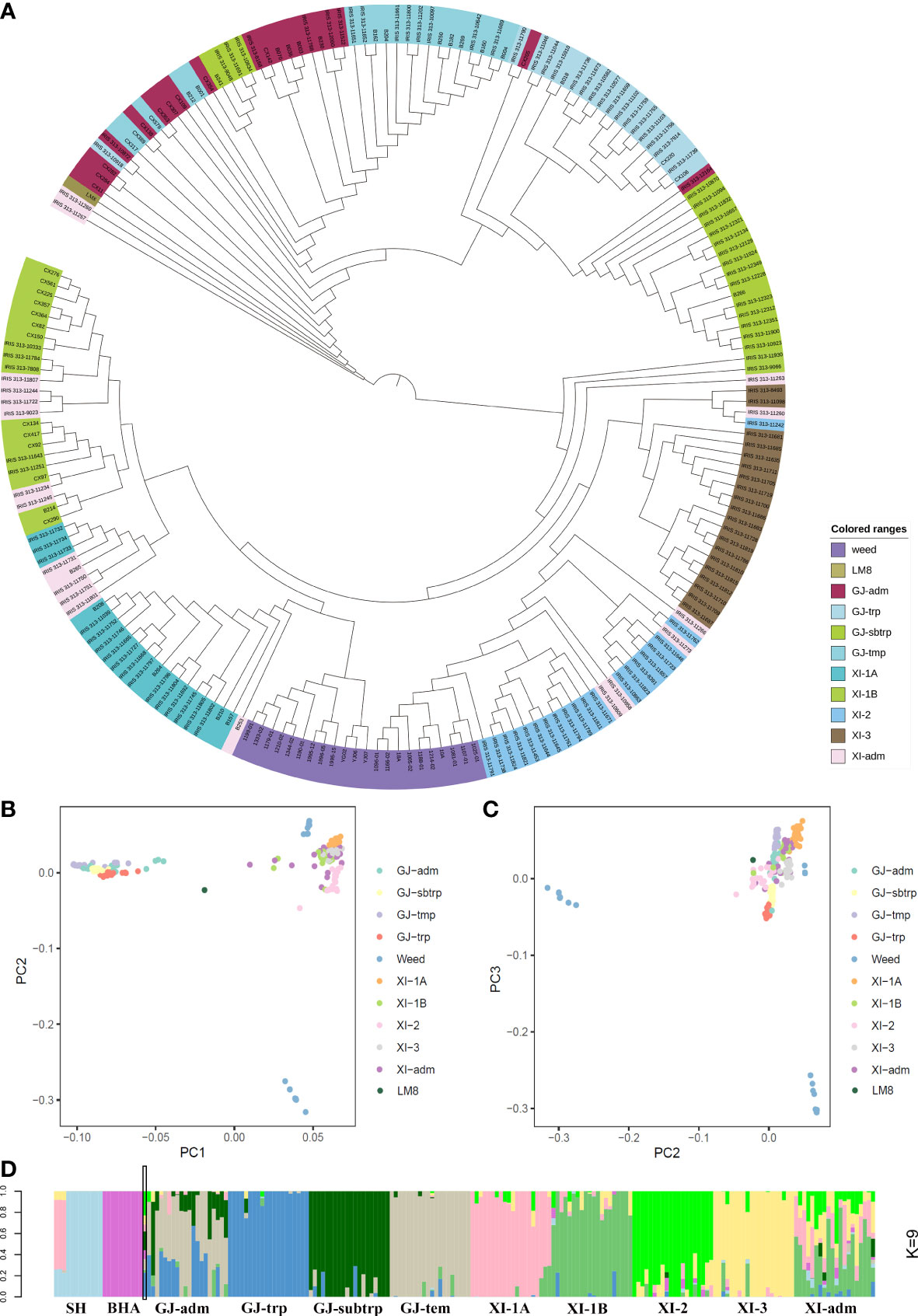 Frontiers | Global whole-genome comparison and analysis to