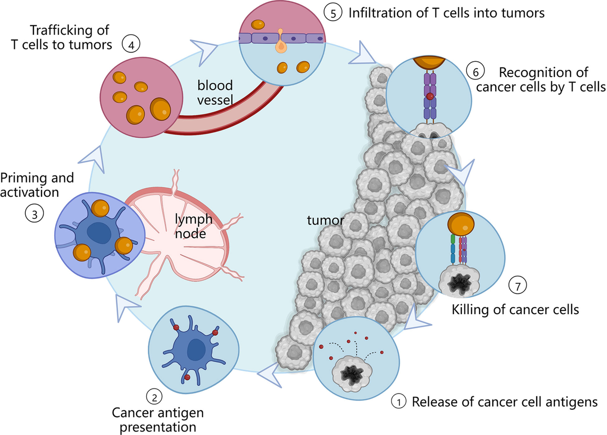 Frontiers | Exosomes as smart drug delivery vehicles for