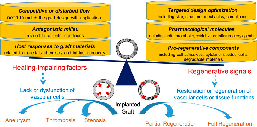 Frontiers | Strategies to counteract adverse remodeling of 