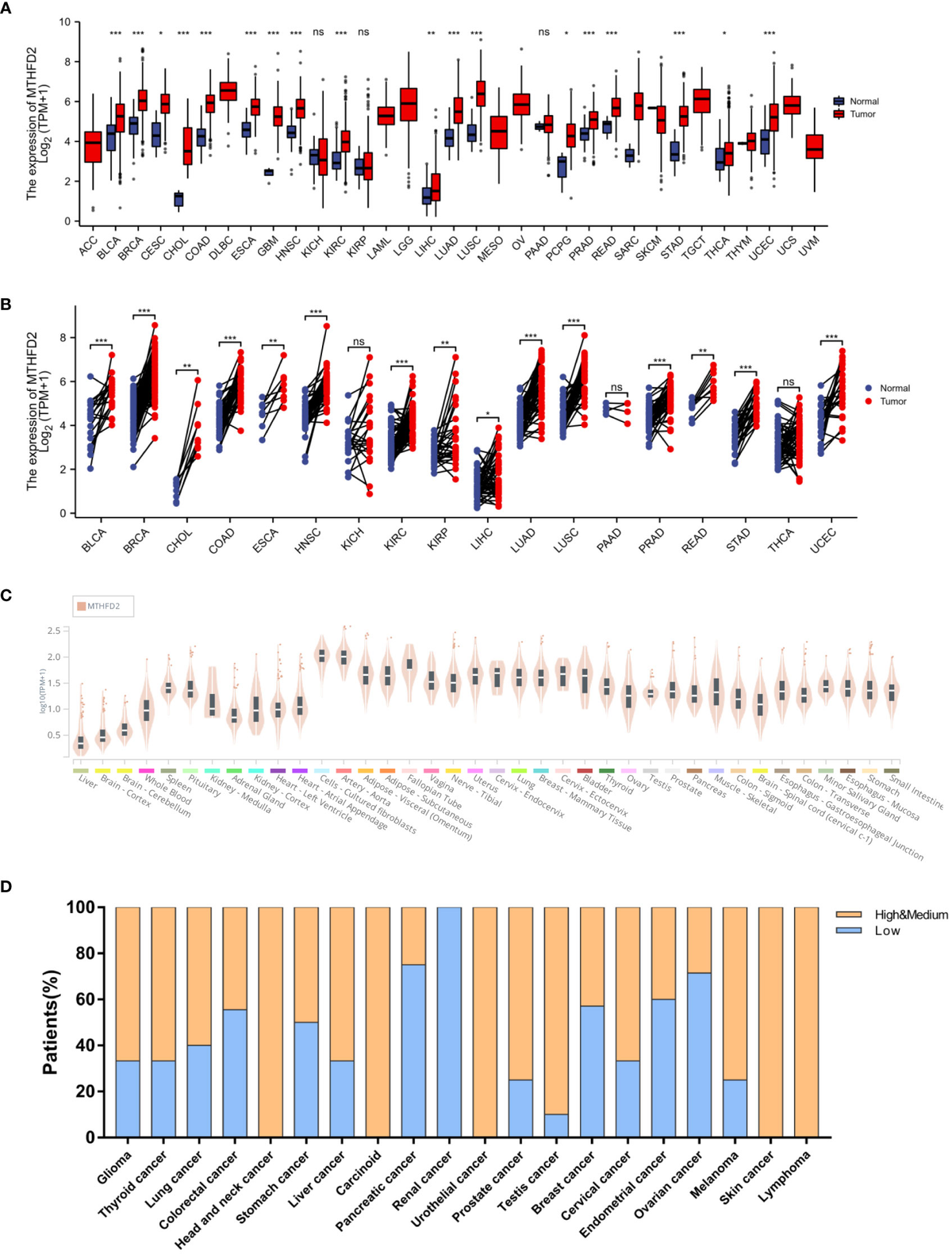 ＳＳ Melatonin up-regulates the expression of the GATA-4