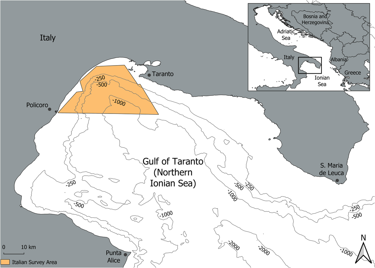 Initial results on the variation of whistle characteristics of bottlenose  dolphins from two neighbouring regions of the Mediterranean Sea: Northern  Ionian and Southern Adriatic Sea - Frontiers, image size:1200x859