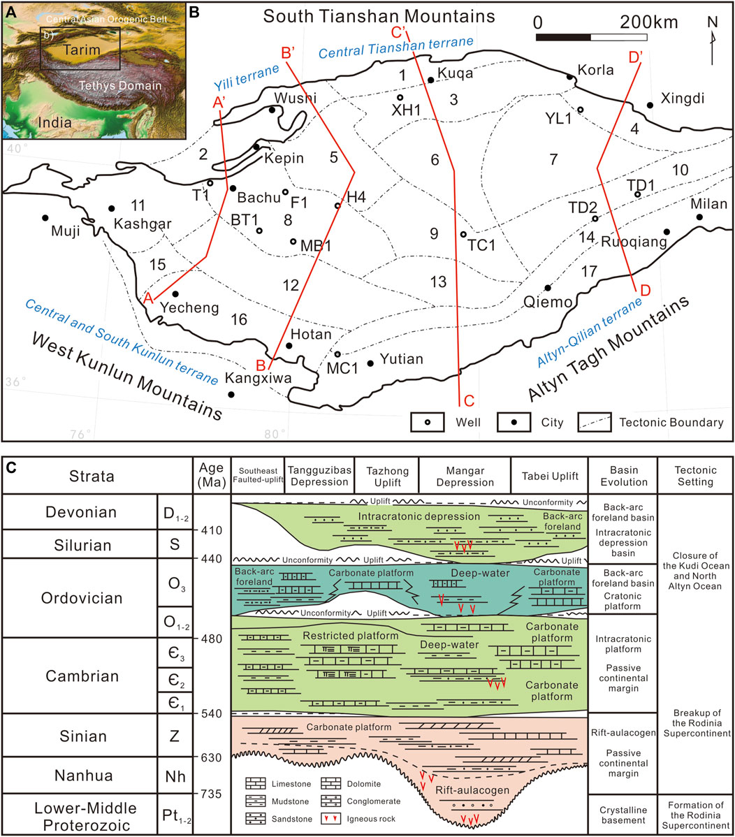 その他 WWH Frontiers | Reconstruction of proto-type basin and tectono