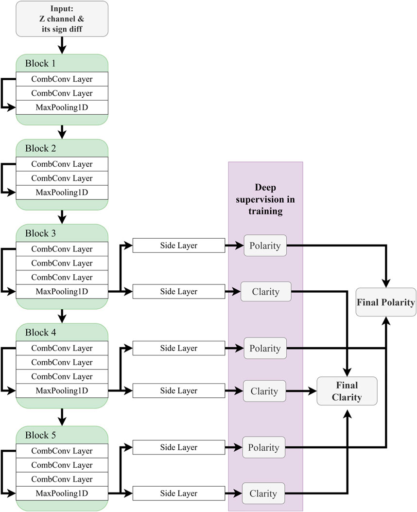 Frontiers | DiTingMotion: A deep-learning first-motion