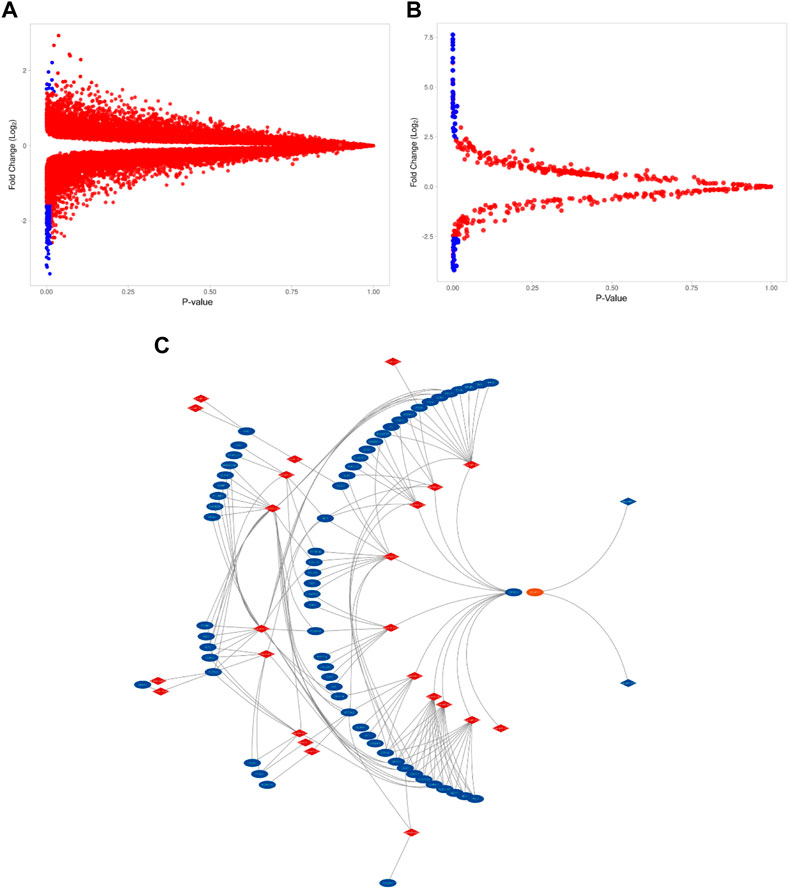 Targeting Mitochondrial Metabolic Reprogramming as a