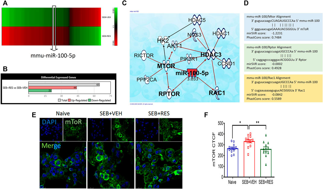 定番 Frontiers staphylococcal attenuates Resveratrol | リール