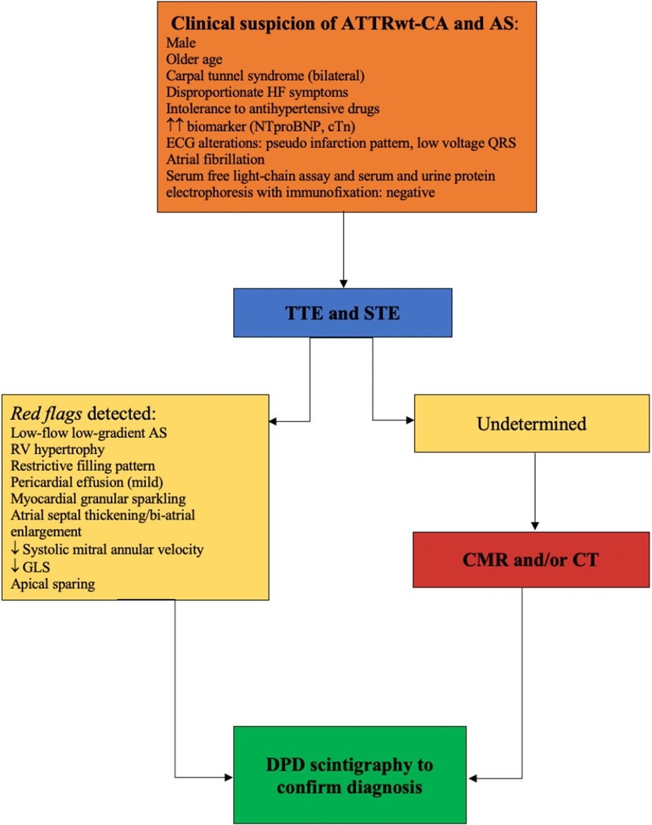 Frontiers | Multimodality imaging in the diagnostic Frontiers | Multimodality imaging in the diagnostic