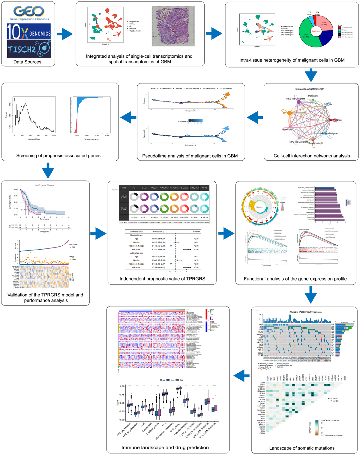 frontiers-integration-analysis-of-single-cell-and-spatial