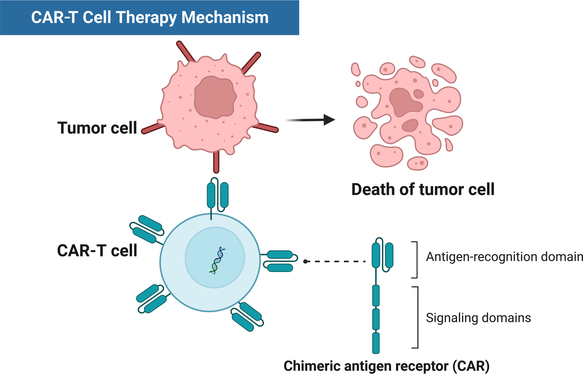 Frontiers | Predictive short/long-term efficacy biomarkers