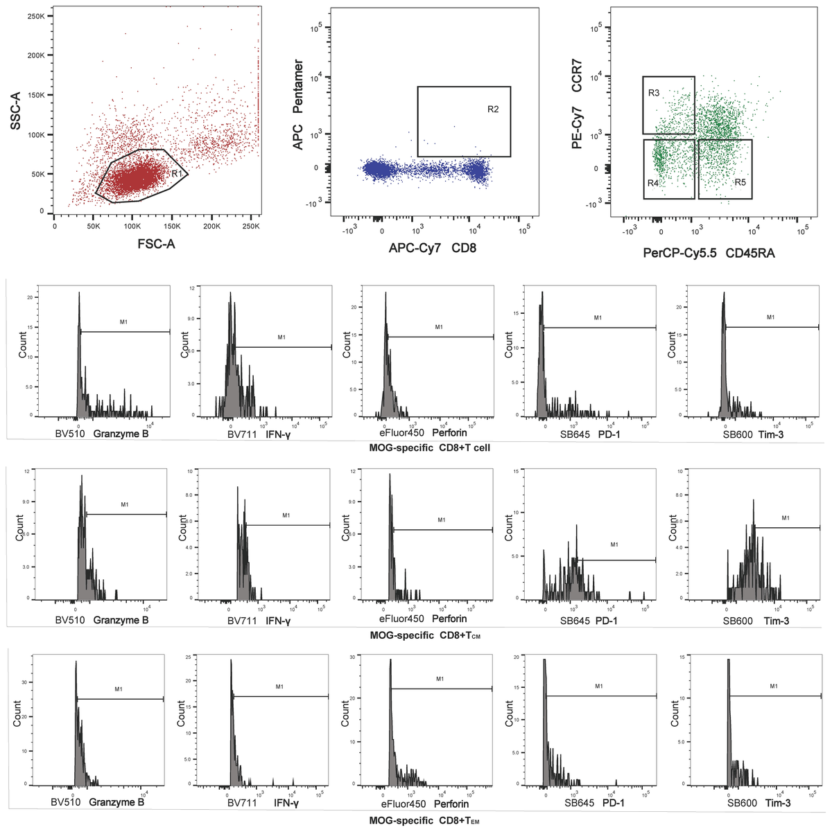 Thermal Expansion Behavior in the A2M3O12 Family of Materials