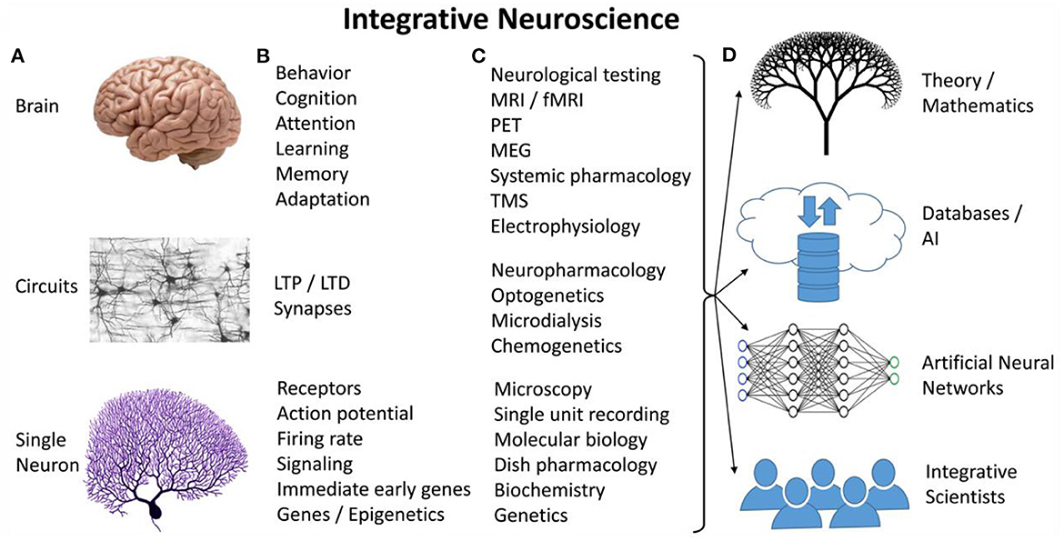 Frontiers The future of integrative neuroscience: The big questions