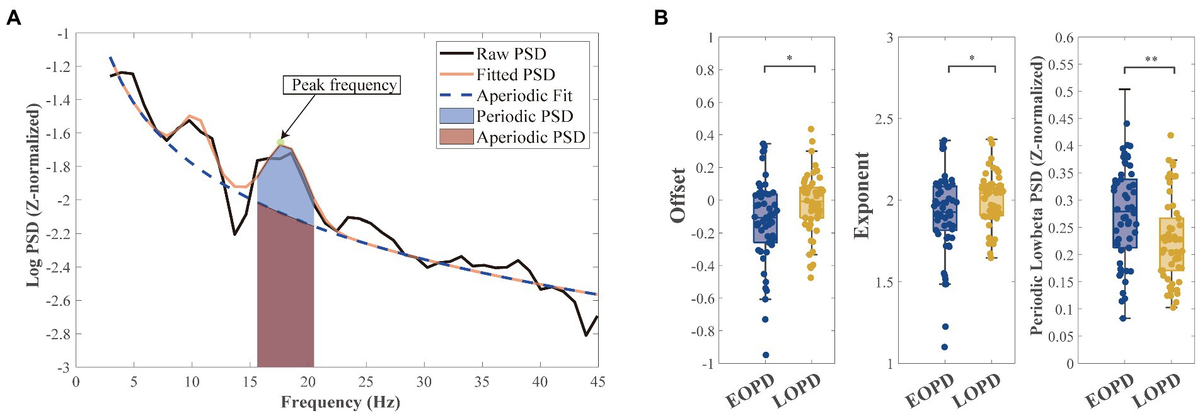 Frontiers | Profiling the low-beta characteristics of the