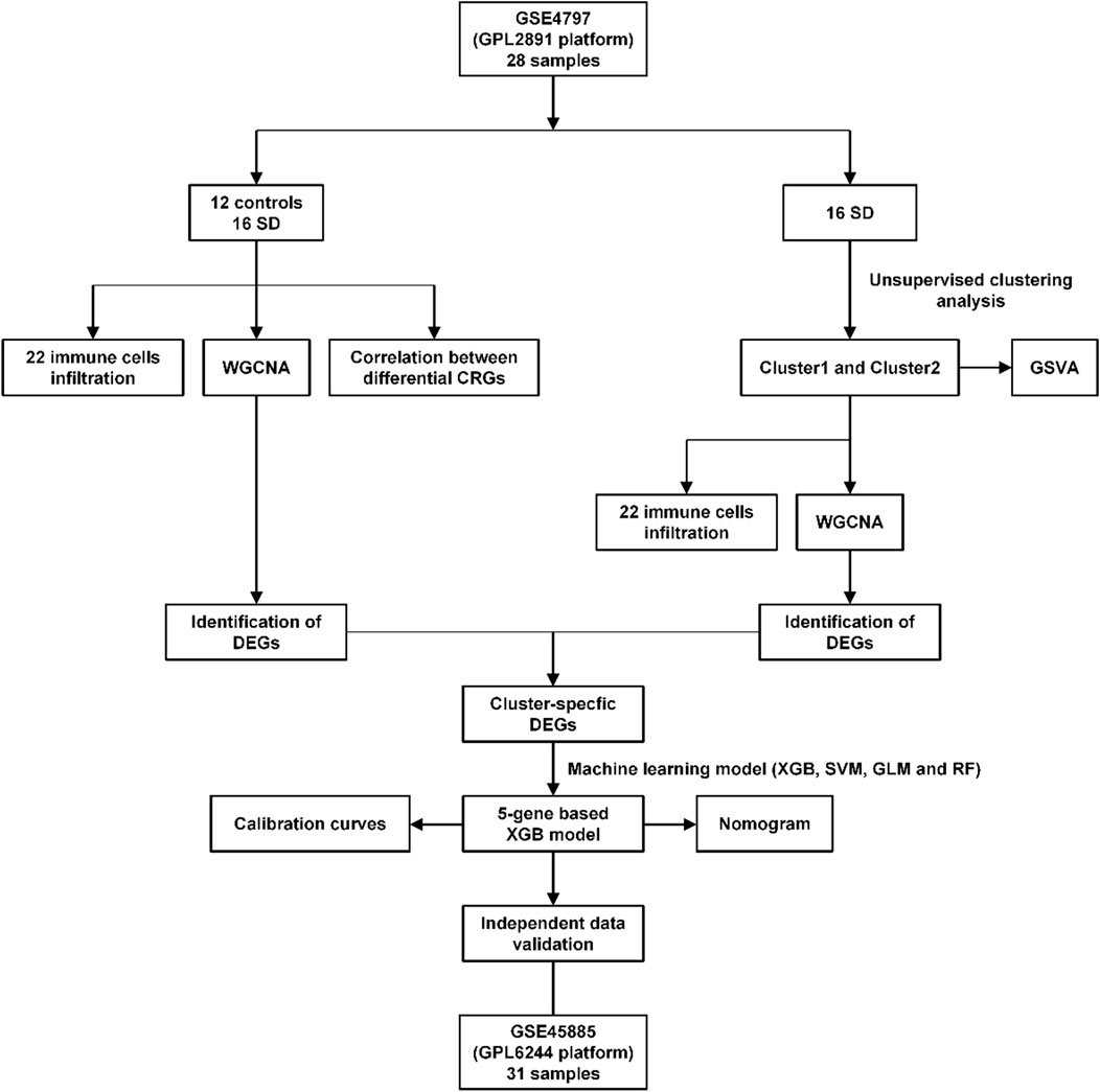 Frontiers | Identification and immuno-infiltration analysis