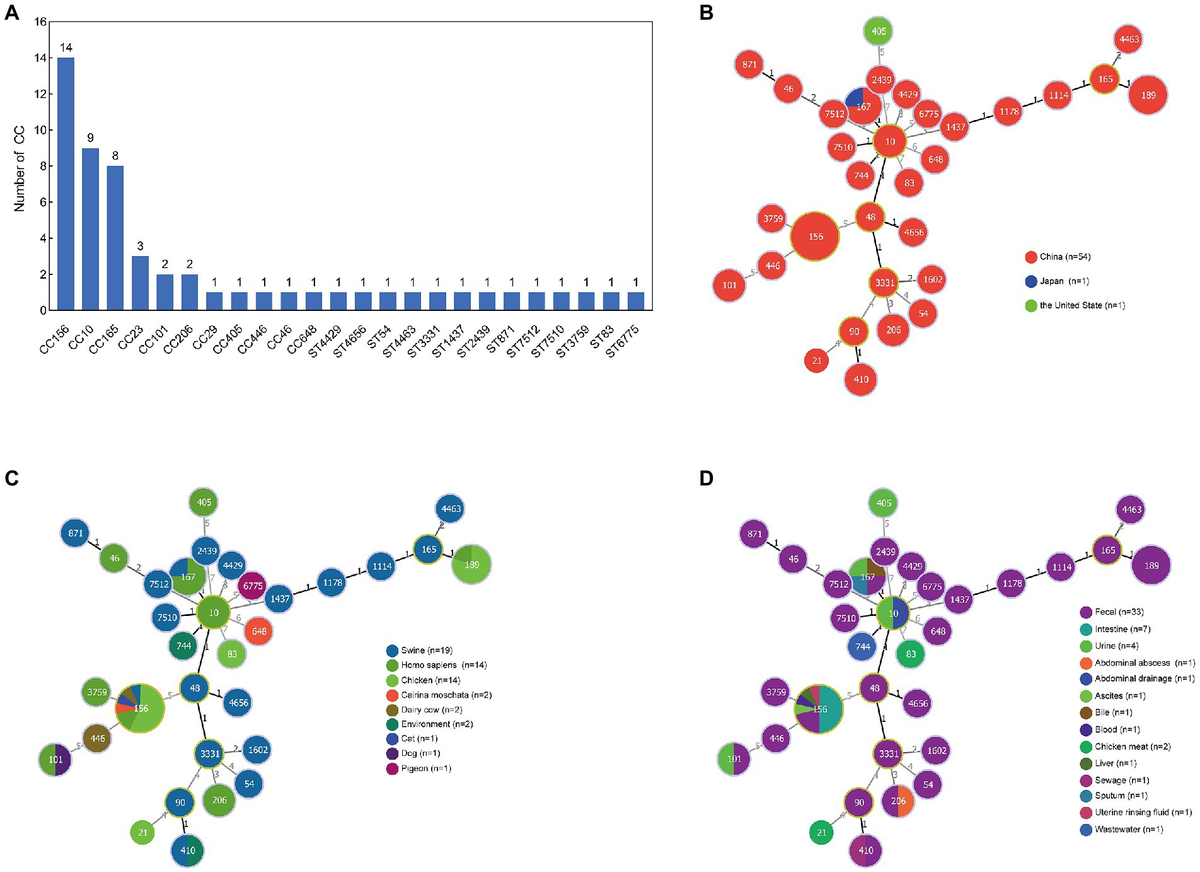 Frontiers | Genetic characteristic of coexisting of mcr-1