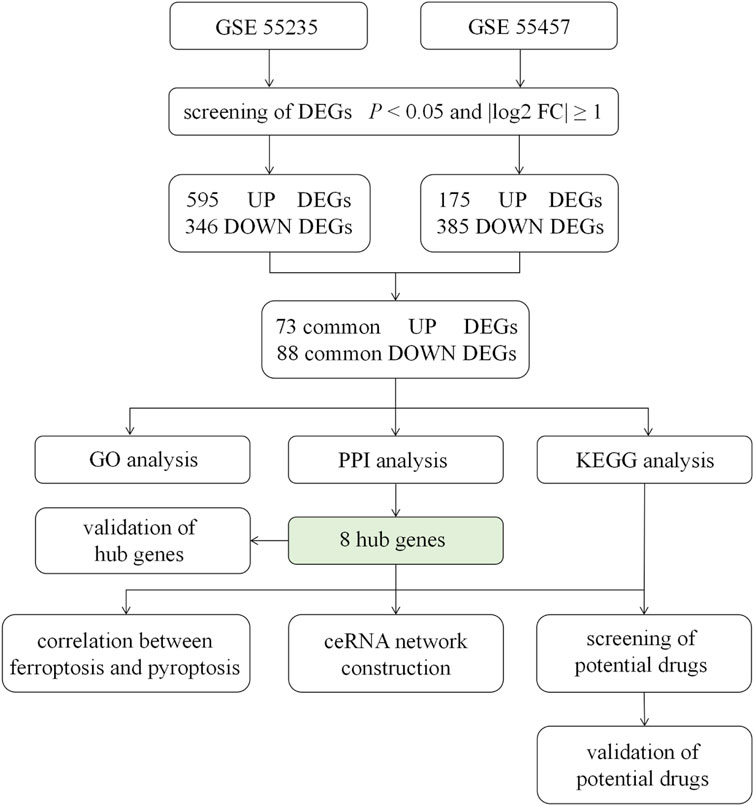 通販 激安 of validation and Identification | Frontiers hub and genes その他
