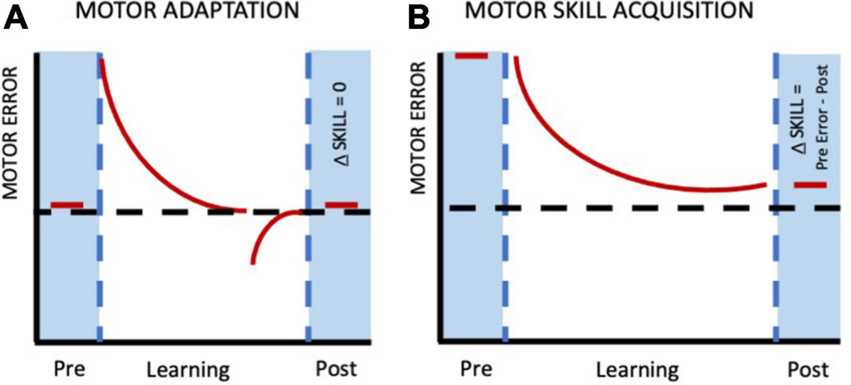 健康・医学 Nonlinear Pedagogy in Skill Acquisition PDF Free) Nonlinear Pedagogy in Skill Acquisition: An