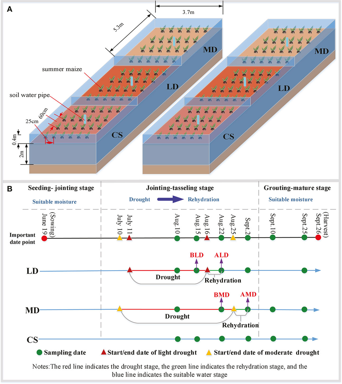 Frontiers | Effects of drought stress on water content and