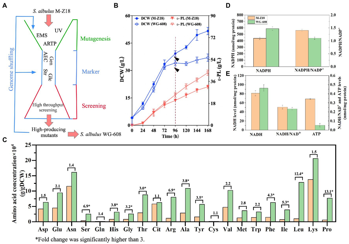 Frontiers | Integrative transcriptome and proteome revealed