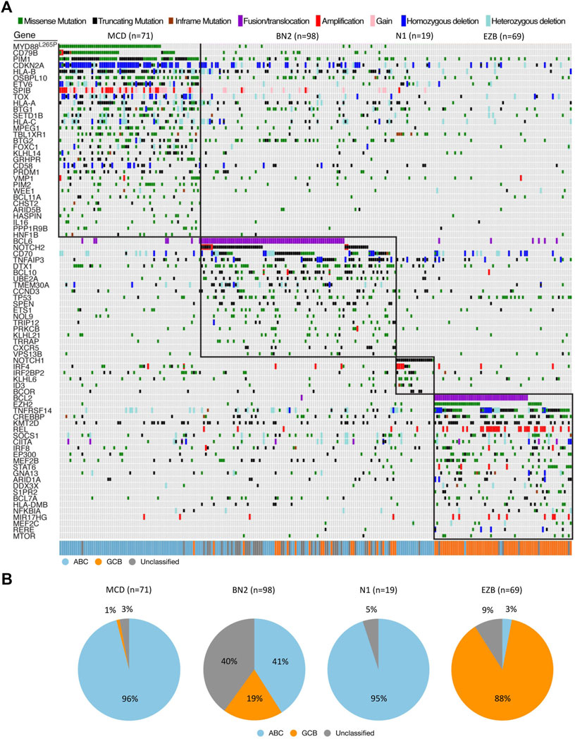 Frontiers | Molecular classification and therapeutics in