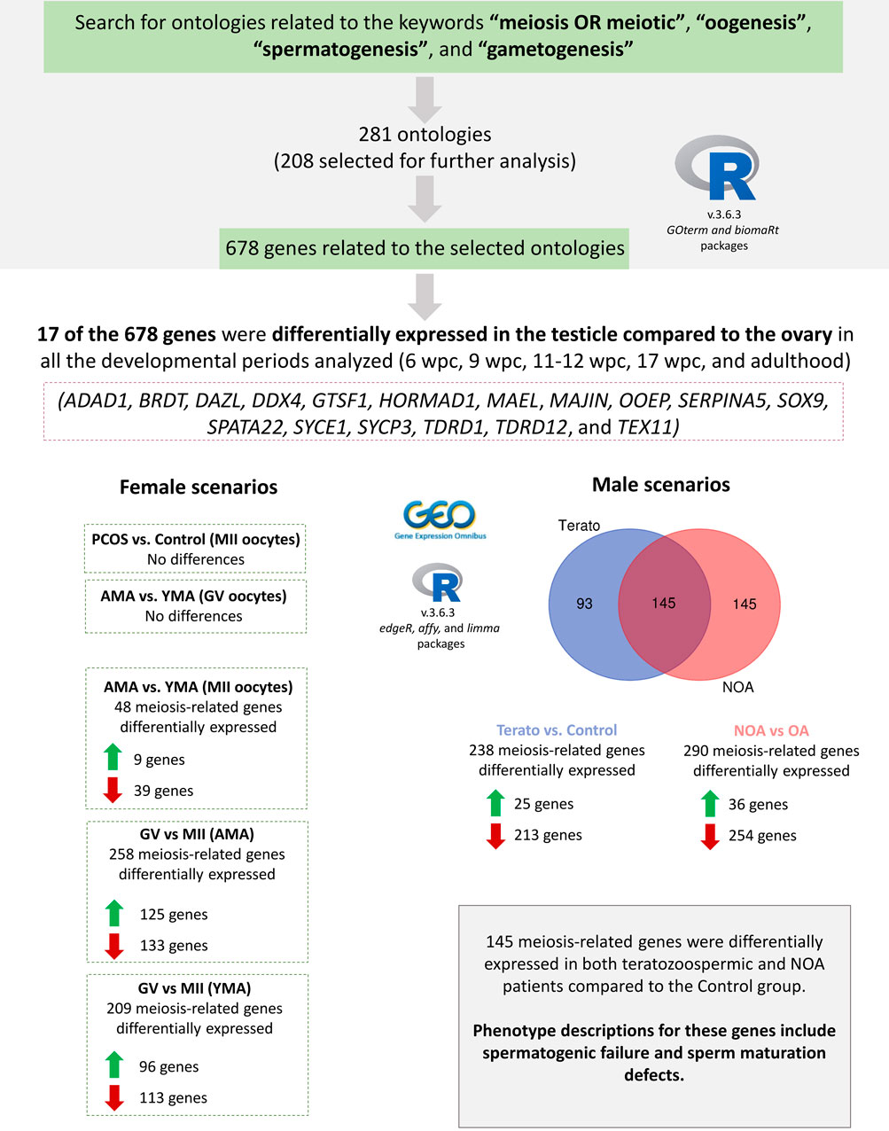 Televizorda porno filmlar: Rus kechasi
